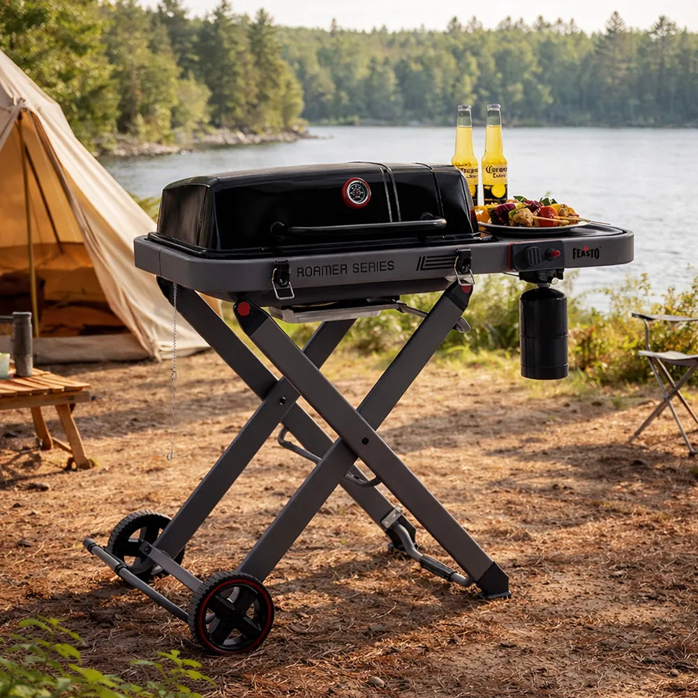 Portable Gas Grill with Foldable Cart