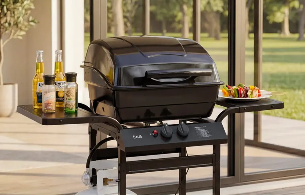 2-Burner Gas Grill with Dual Side Tables