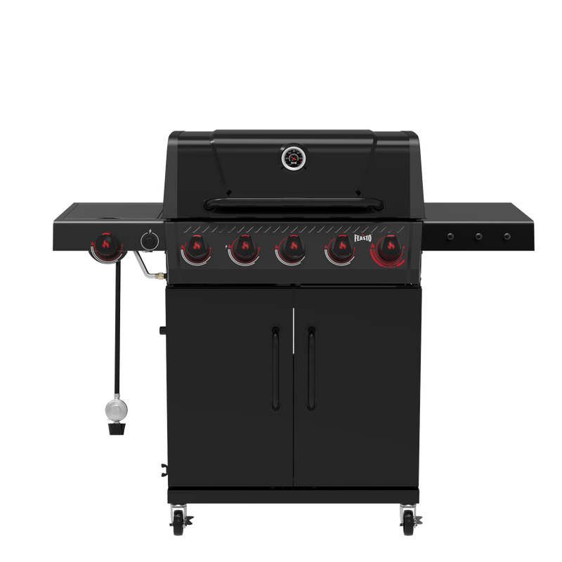 5-Burner Gas Grill with Sear Burner & Side Burner