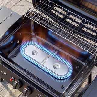 2-Burner Gas Grill with Dual Side Tables