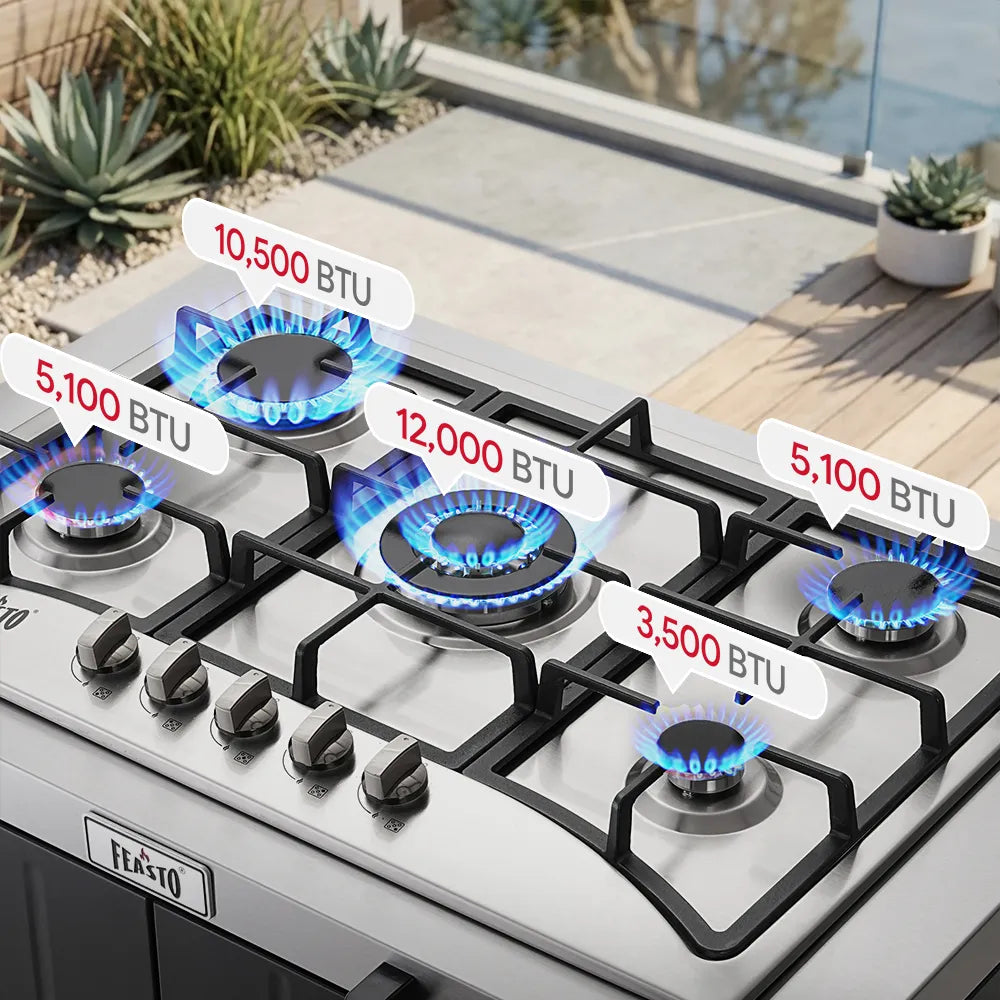 Outdoor 5-Burner Gas Stove